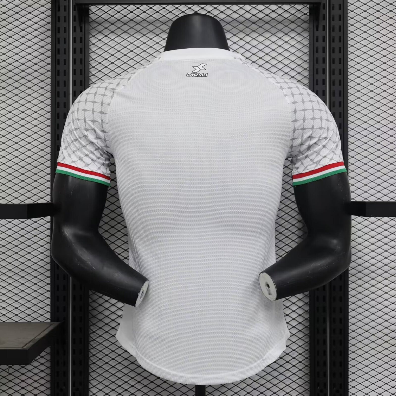Palestine 24-25 white player version