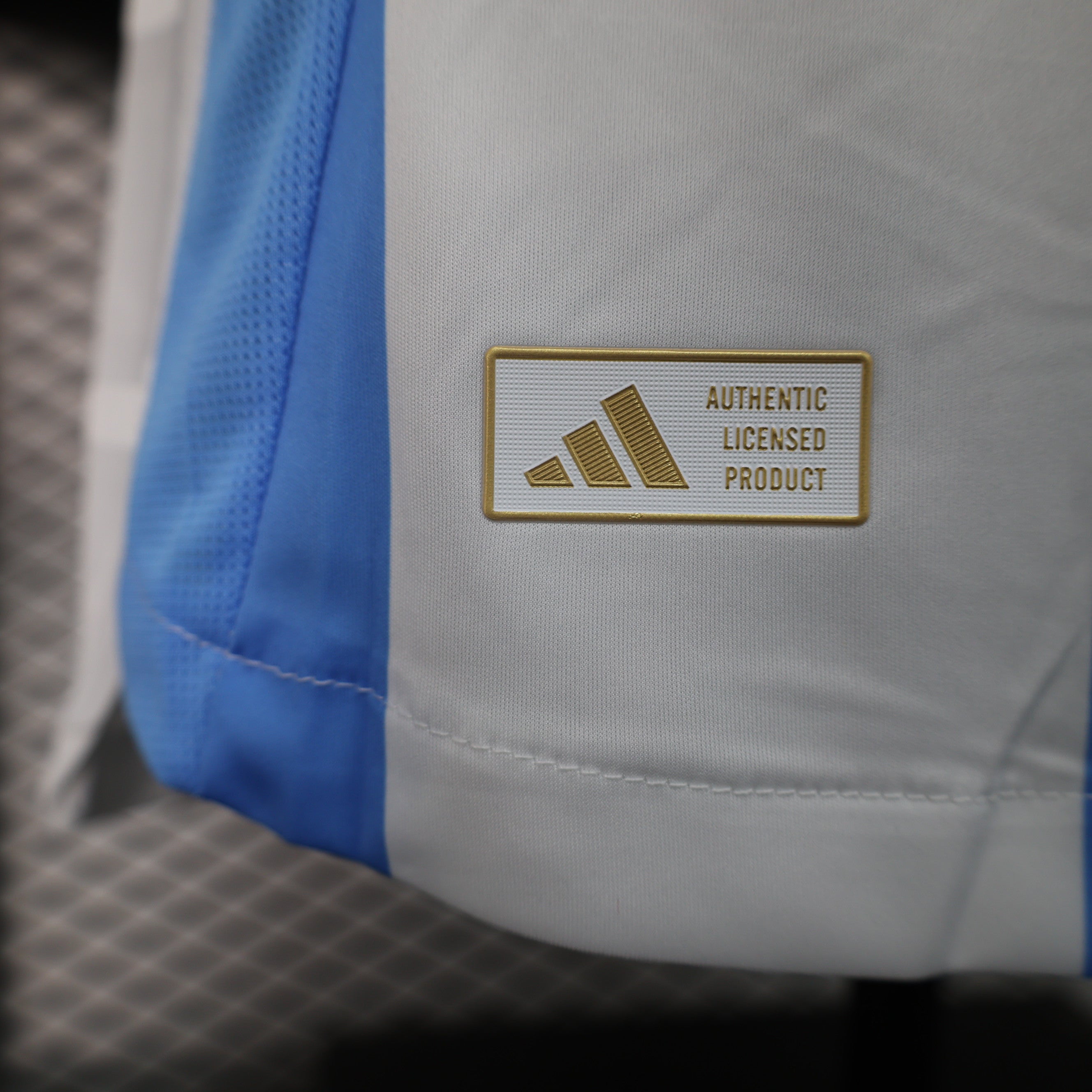 Maillot domicile Argentine 2024-2025