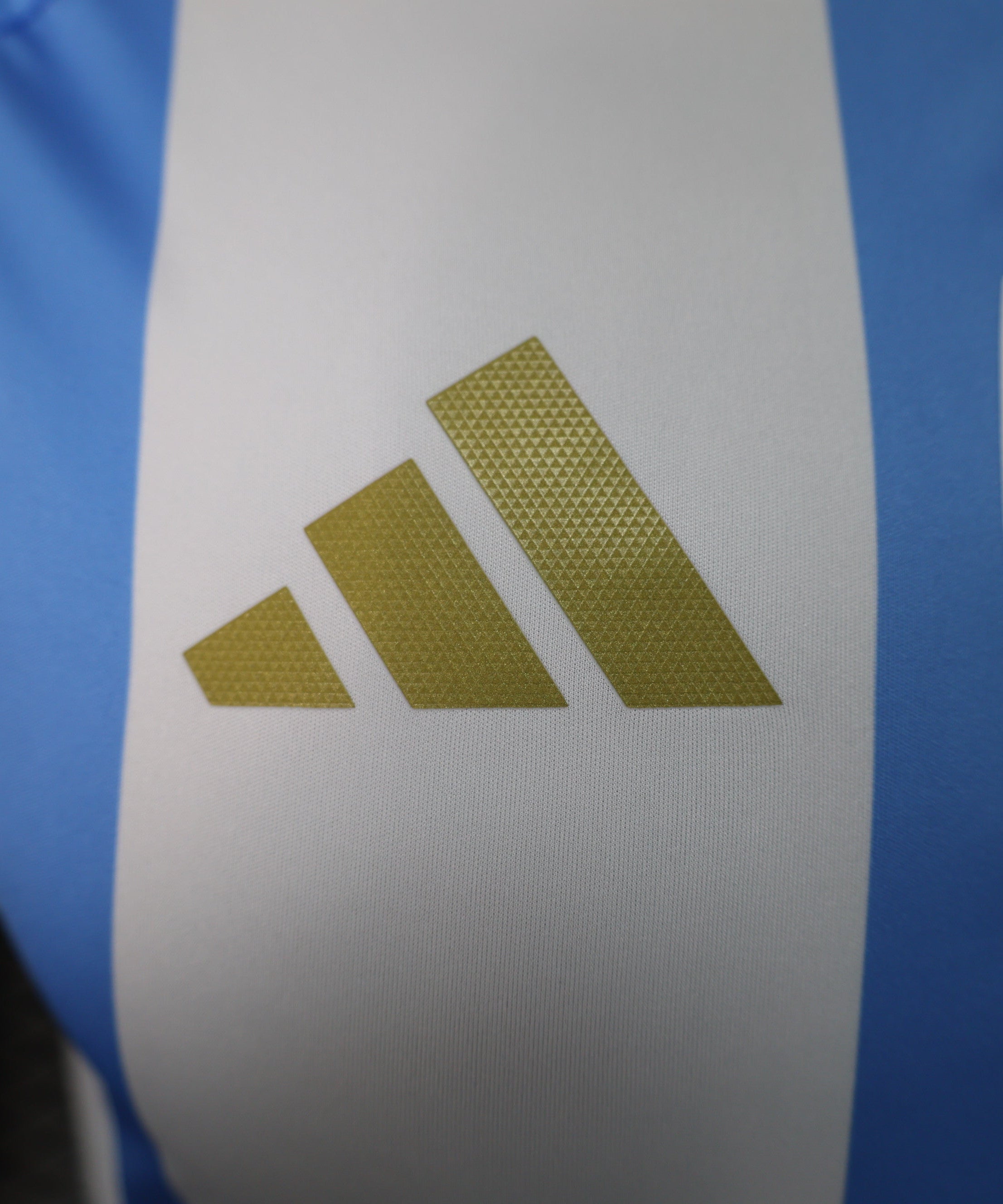 Maillot domicile Argentine 2024-2025