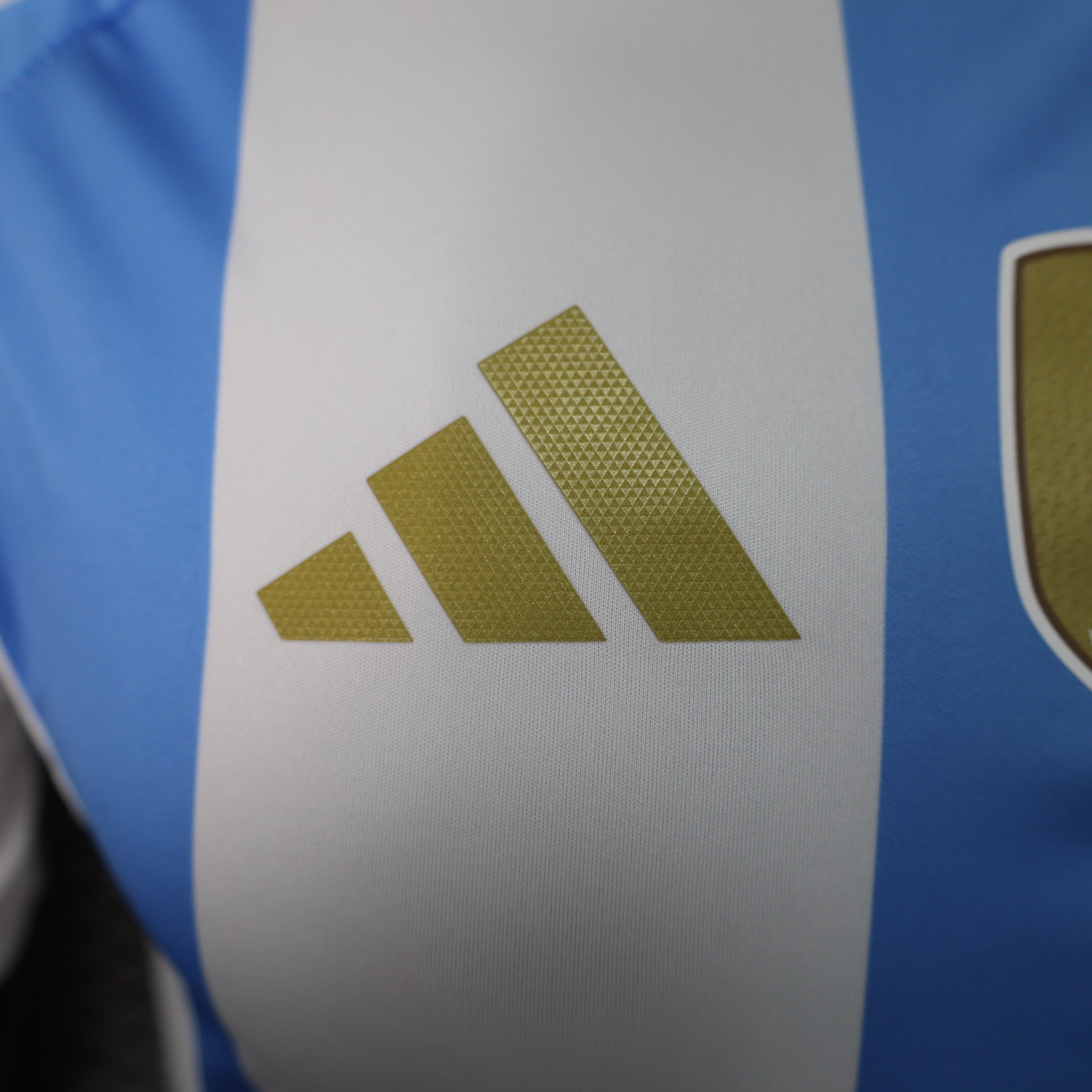 Maillot domicile Argentine 2024-2025