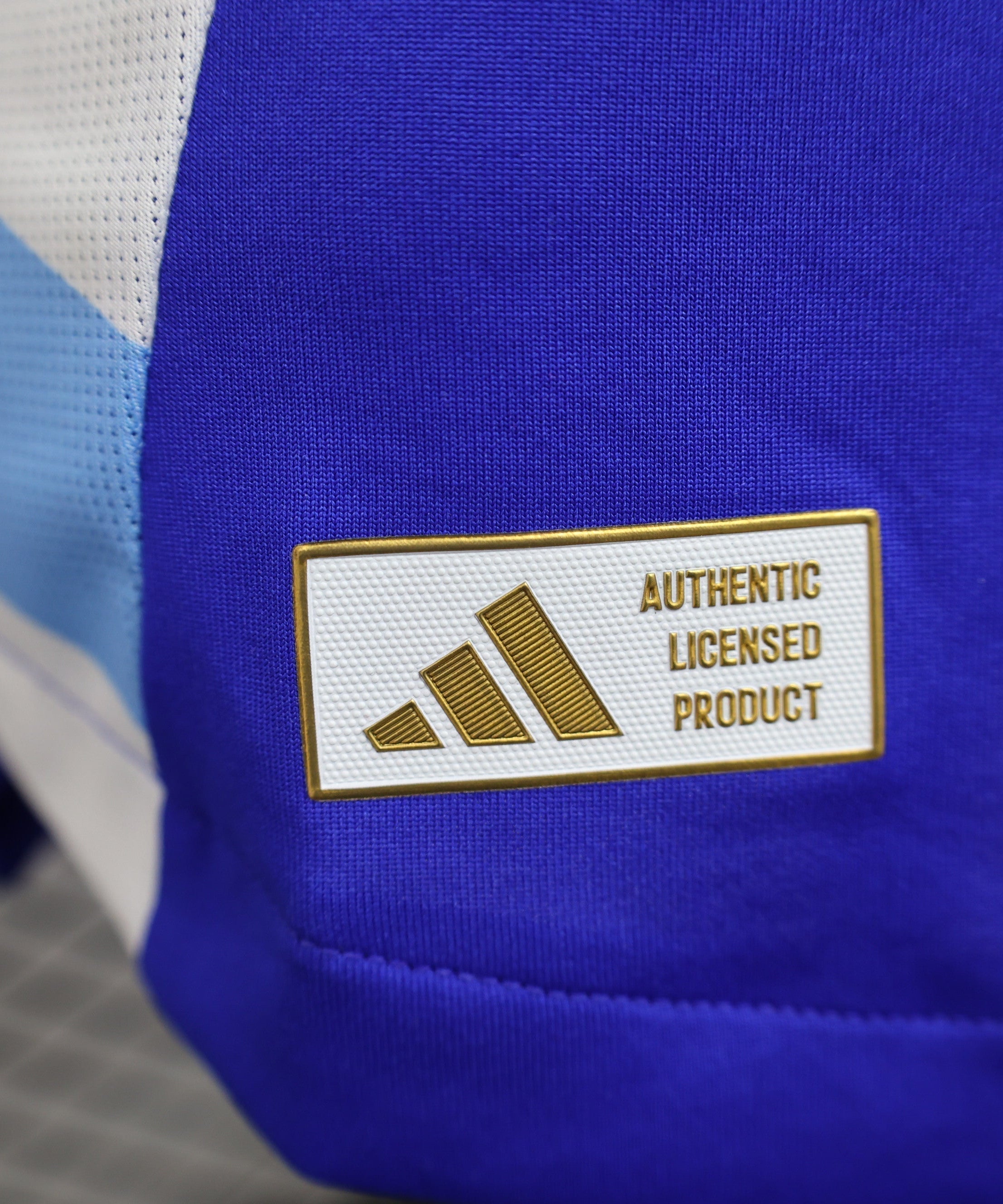 Argentina 2024-2025 Away Kit