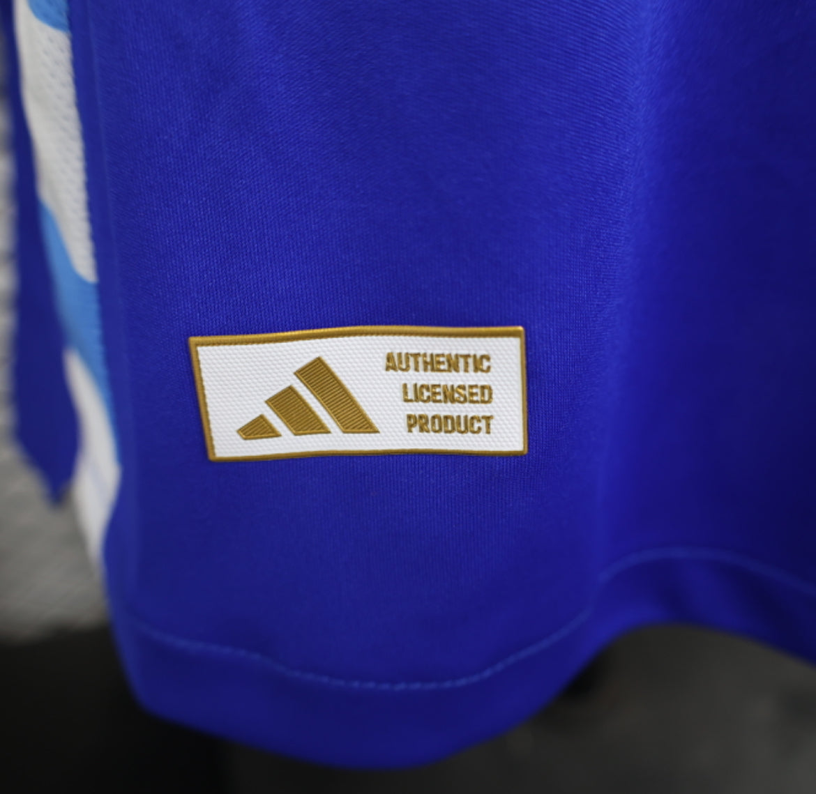Maillot extérieur manches longues Argentine 2024-2025