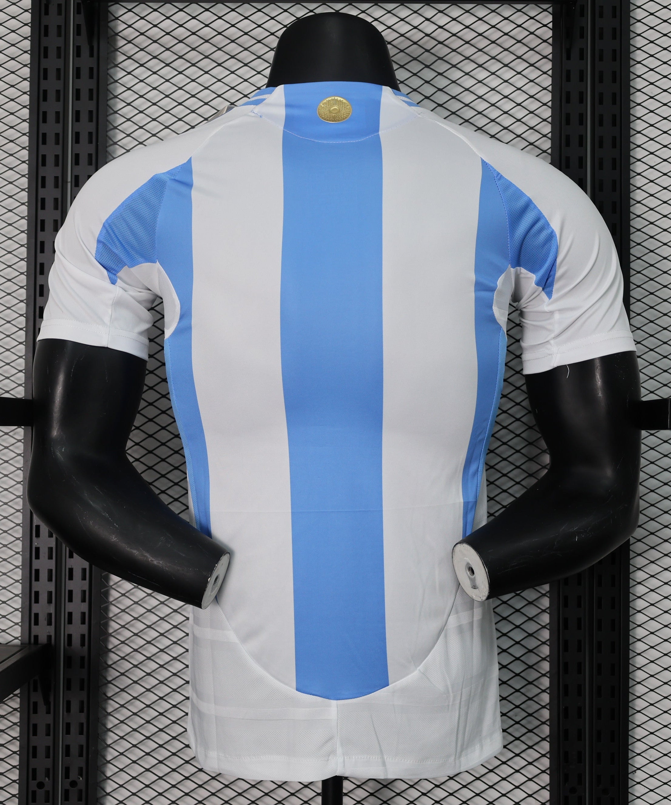Maillot domicile Argentine 2024-2025