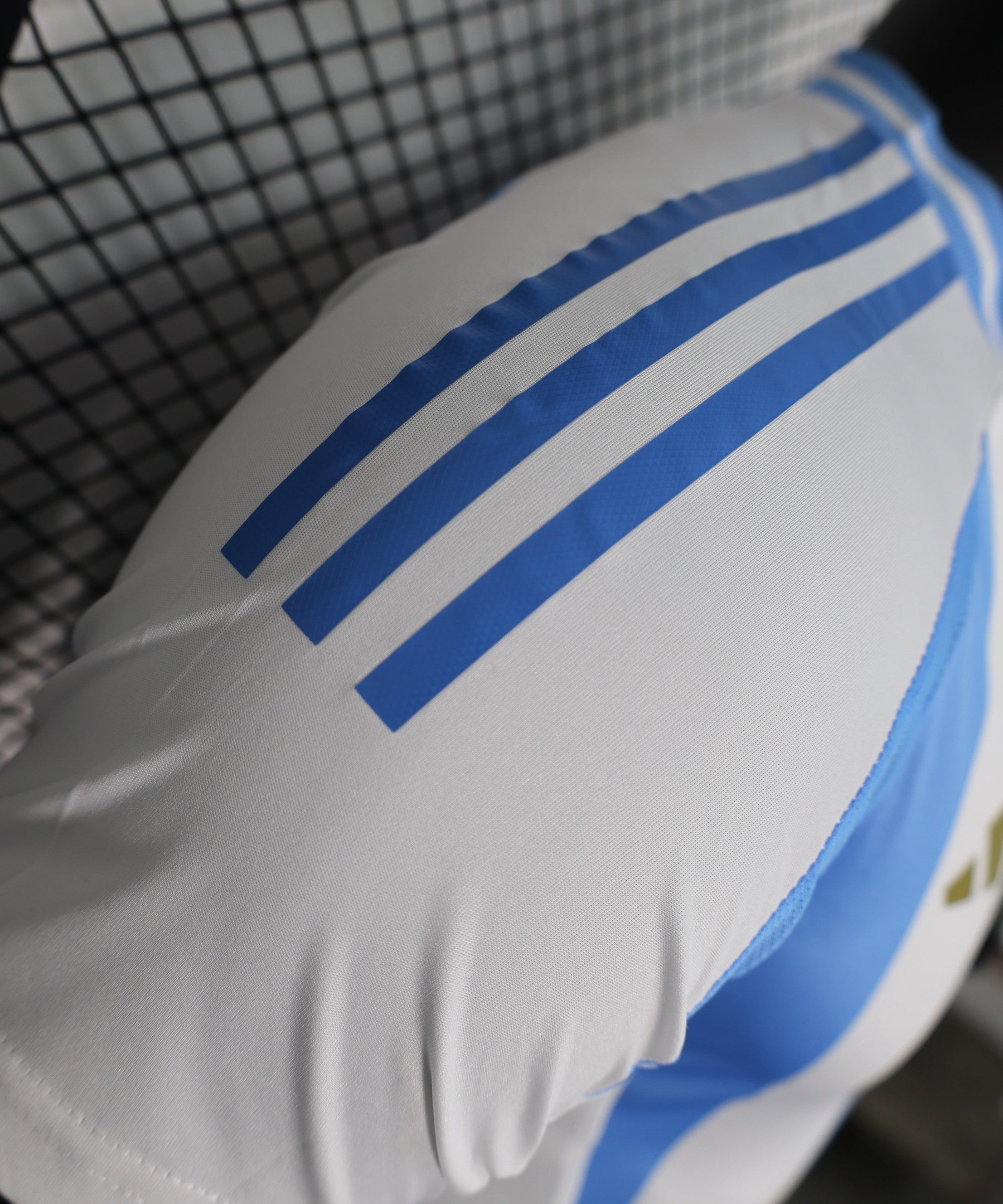 Maillot domicile Argentine 2024-2025