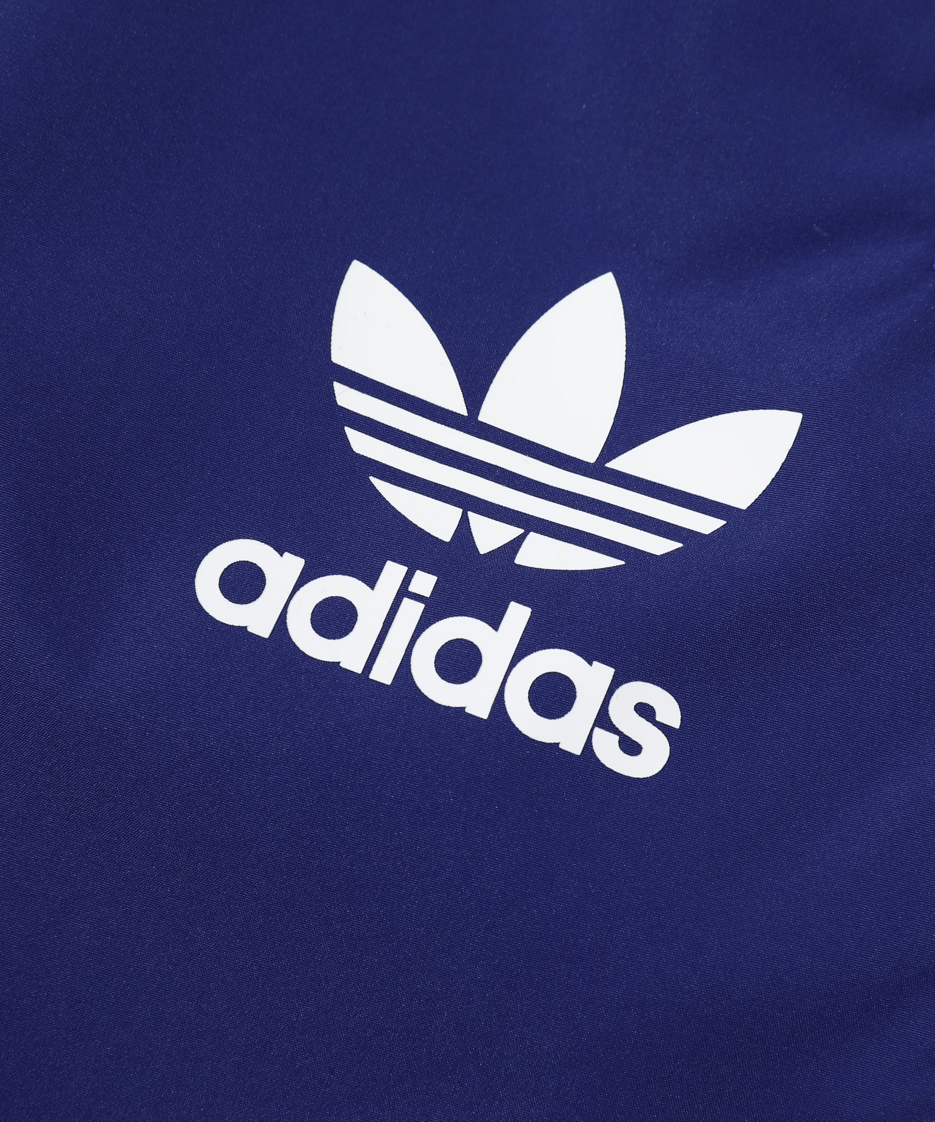 Survêtement bleu et bleu foncé Argentine