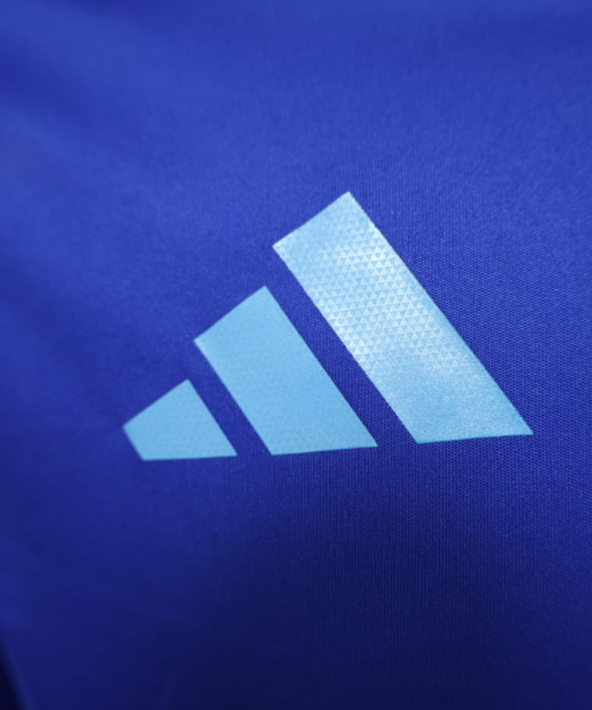 Maillot extérieur manches longues Argentine 2024-2025